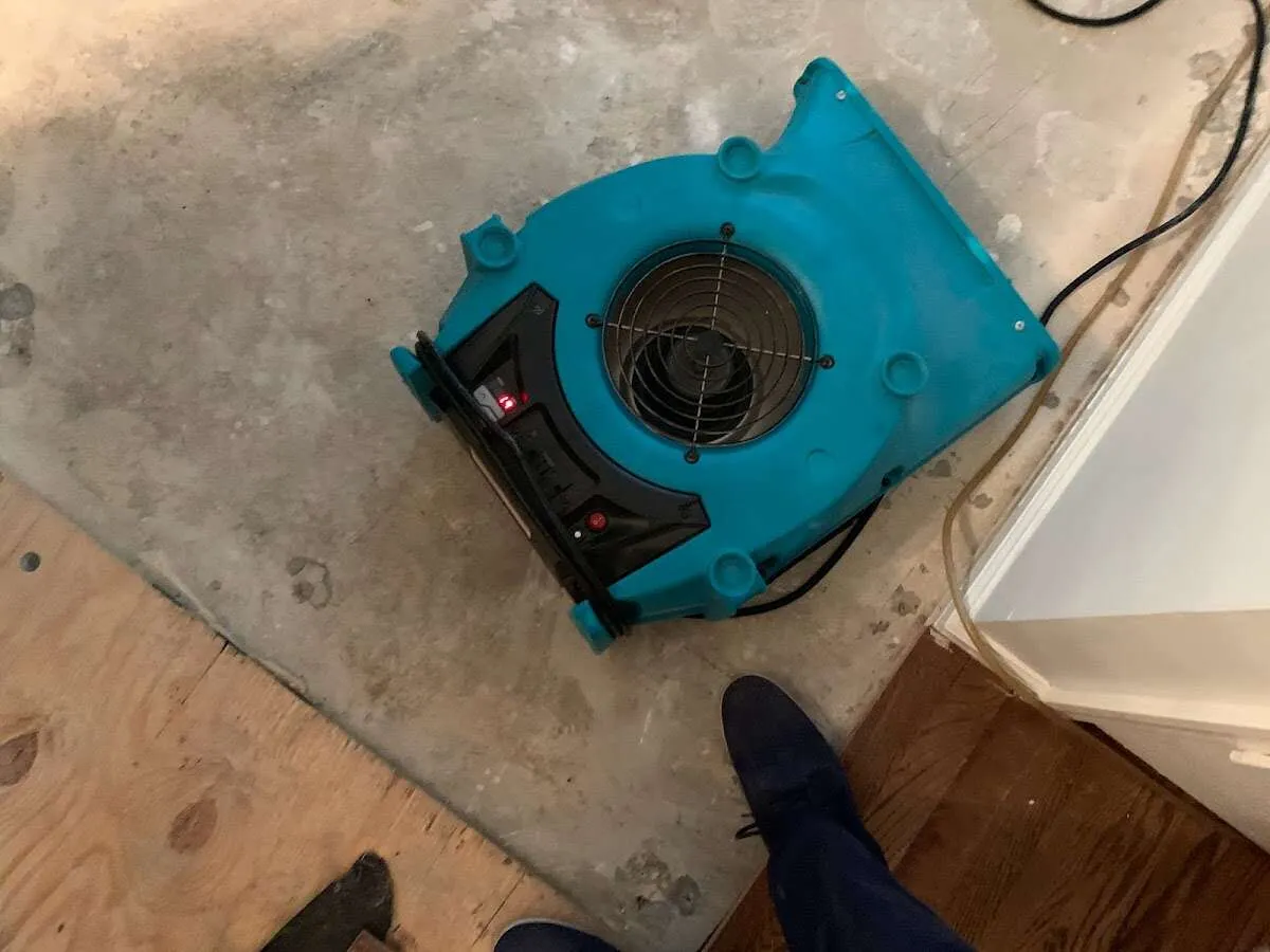 Air mover drying subfloor during Commercial Water Damage Restoration in Westbury